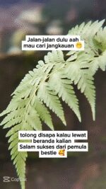 lvtemp_d2a8c688-217a-455c-9476-f42696e3029d5