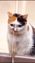 72a13c639af9590fcdd0f74527c59a78