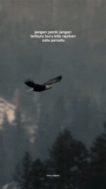 Snapsave.app_-33mwQwtqqKJ_PRE