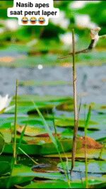 AQOsbUvTIBodFJ-02eNPBhoBU23Q3R0jrs20ed_8GxCN5FPZGnaqjrTxefRWgq3ZkLGmUB-h7BIo7mo53pAoD91A