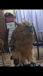 2025-04-28-213410827