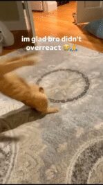 _idk55idk-20250428-0001