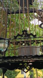 2025-05-01-155537175