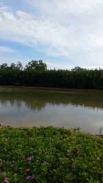 2025-04-25-180225447 (1)