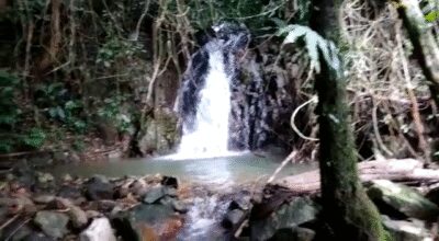 2025-04-26-102115665