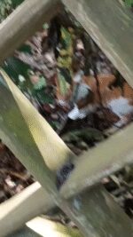 2025-04-27-125022488