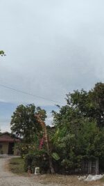 video_20250501_150925