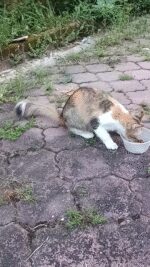 2025-05-07-071709809