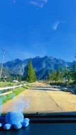 2025-05-08-084550827