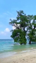 VID-20250204-WA0003_1