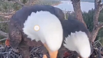 video_20250515_132210_edit