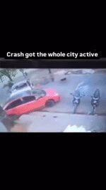 This is how I would explain the car crash to you if I where your trip sitter#freewill #failvideo #randompeople #tripwithfriends #incoherent #carcrash #funnyvids