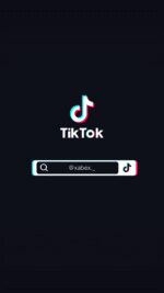 export_1745671333004