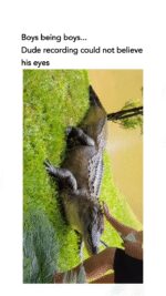 Just @boysbeingboyos #boysbeingboys #exporepage #memes #foryou #funny #aligator #scary #man #food #lol