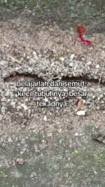 2025-05-25-123140852