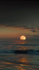 53535583_601910185080854_8815586609067842119_n