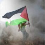 Profile photo of Anggi91