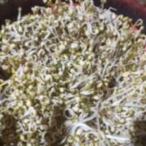 Profile photo of Lca_zoel