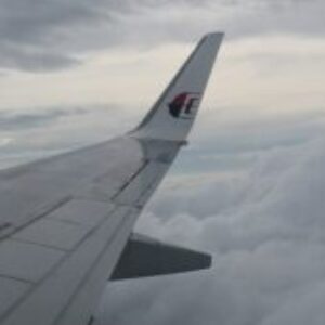 Profile photo of Cryptokoi