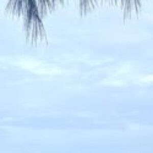 Profile photo of Eejool3673