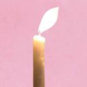 Profile photo of Rostam701
