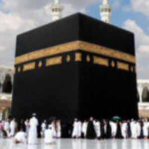 Profile photo of mshk